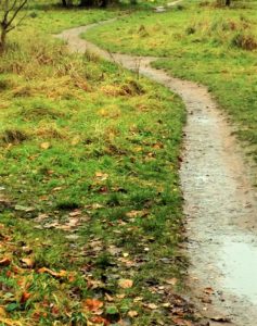 Learning to take a new path?