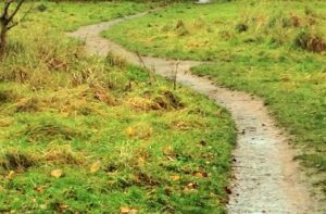 Learning to take a new path?