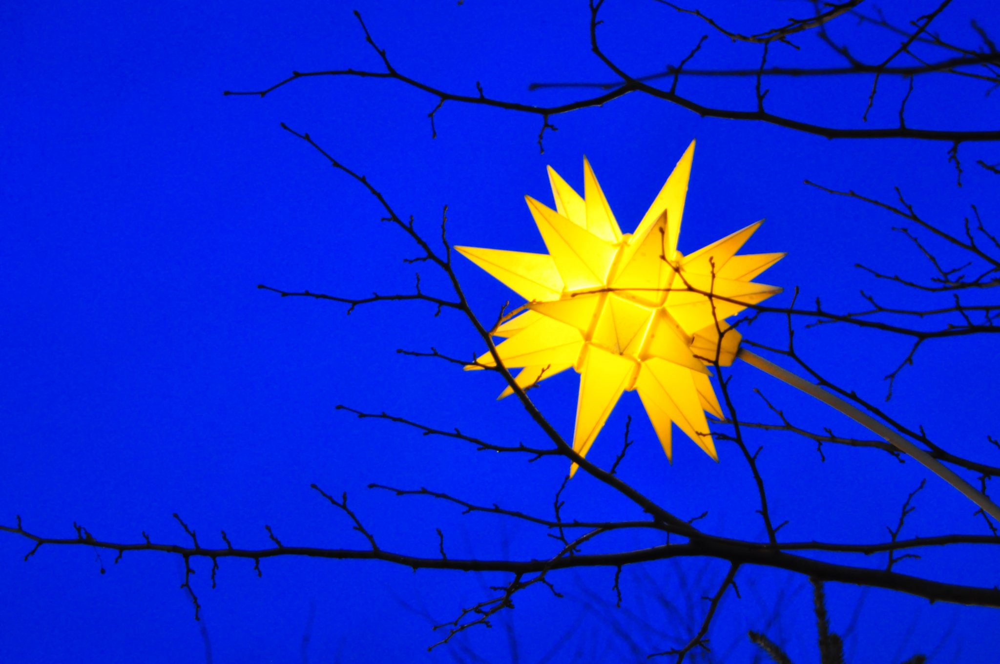 Being willing to fail and not lose the creative spark