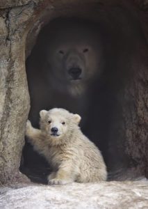 Who's got your back?