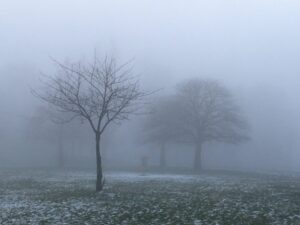 Walking tentatively through the darkness