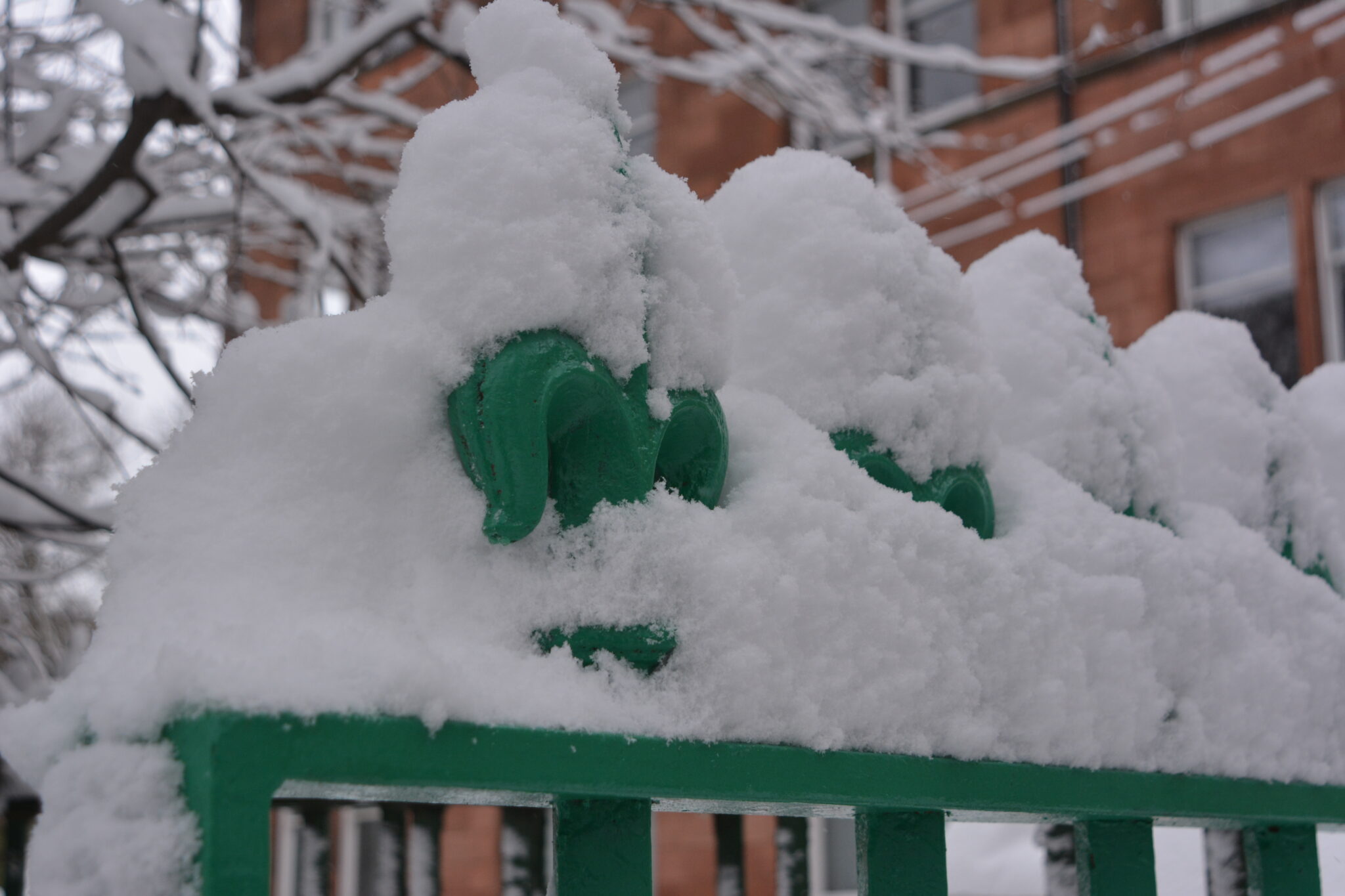 snow everywhere