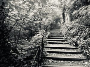 How have your relationships changed - path up a hill 
