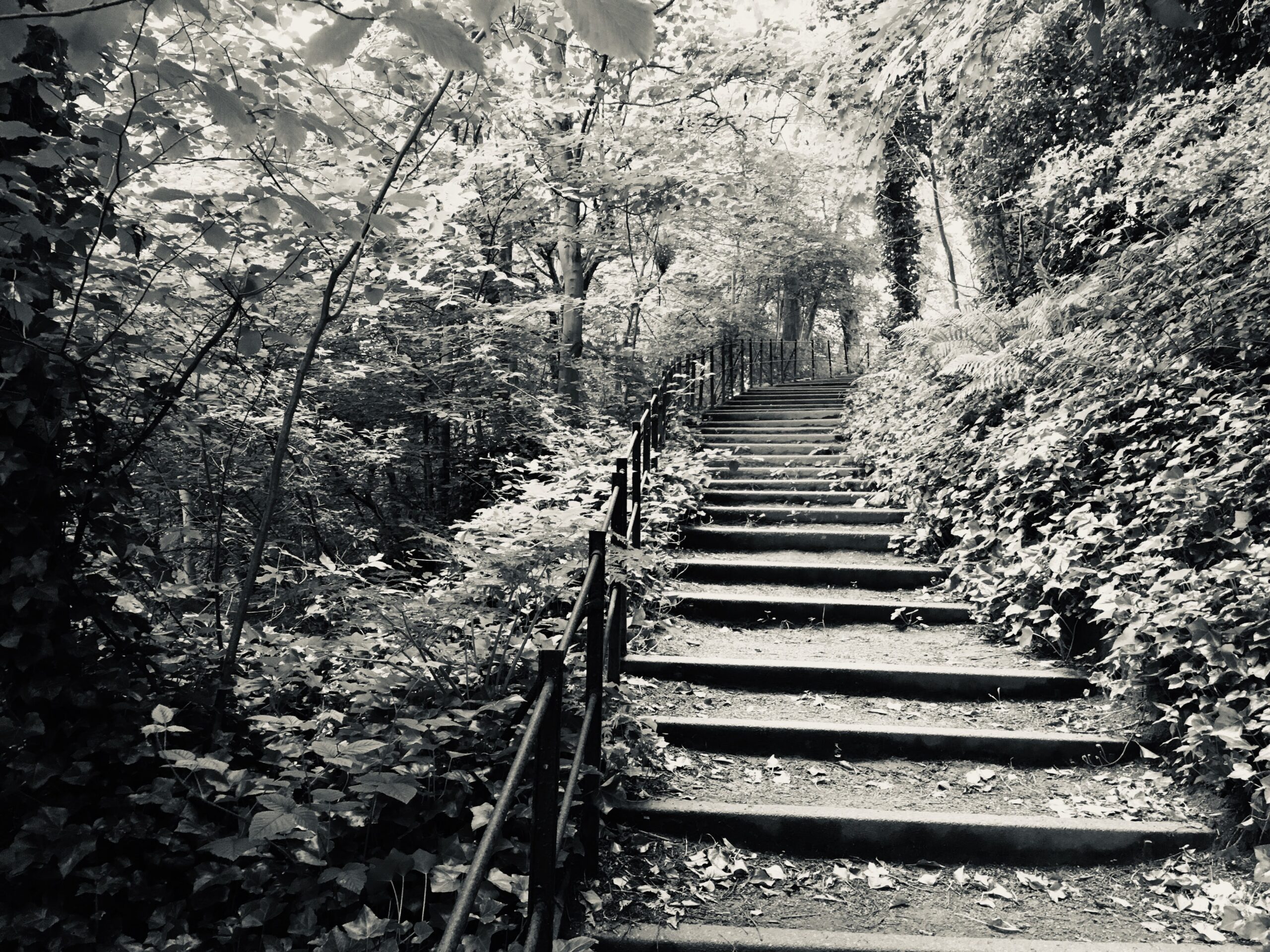 How have your relationships changed - path up a hill