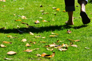 feet on grass - reframing the journeying