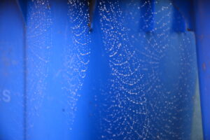 dew on spiders webs - time for a reset