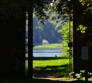 A gate opened up to sunshine - benefits of life coaching
